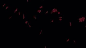 Animated Maple Leaves Loop - Seasonal Background video