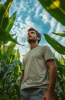 A man standing in a corn field photo