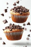 Chocolate muffins floating with broken chocolate chips isolated on white background photo