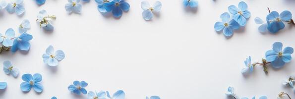 Photorealistic Forget Me Not with copy space, Forget Me Not flower setting, isolated on white plant photo