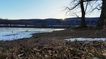 A river with snow on the ground and trees video