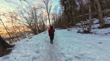 A person walking on a snowy trail in the woods video