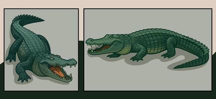 Crocodile front and side view cartoon illustration vector