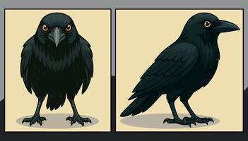 Crow front and side view cartoon illustration vector