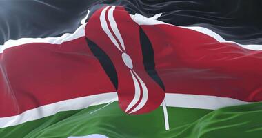 Flag of Kenya waving at wind in slow, loop video