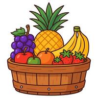 Healthy fruits color line illustration vector