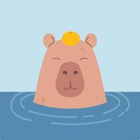 Cute calm capybara in water with tangerine on a head vector