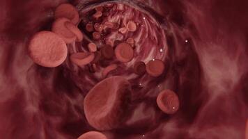 This 3D rendering depicts numerous red blood cells traveling within the circulatory system. video