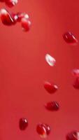 isolated Pomegranate grains are falling on red background texture video