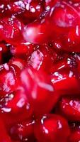 Handful of juicy pomegranate grains is bouncing isolated video