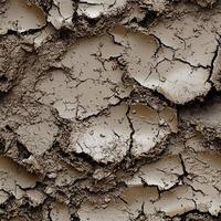 Mud Surface Seamless Texture Pattern photo