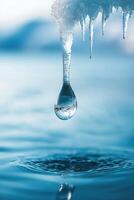 Single melting icicle dripping into a water photo