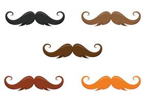 Set of Five different mustache colors vector