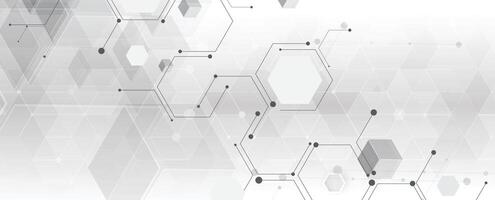 abstract background with grey hexagons and lines vector
