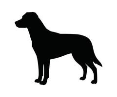 An outline of a black dog in a standing position on a white backdrop, serving as a dog icon. vector