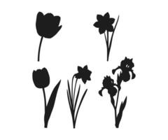 Dark outlines of spring blooms like tulips, daffodils, and irises set against a white backdrop. vector