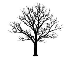 A drawing showcasing the silhouette of a deceased tree. It highlights trees and branches stripped of leaves. vector