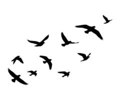 Silhouette artwork featuring a flying bird and tree branches. vector
