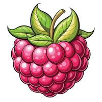 Cartoon Style Raspberry with Leaves vector
