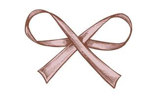 Hand drawn colored vintage sketch of a decorative ribbon with loops vector
