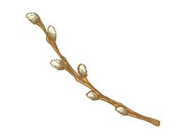 Hand drawn colored vintage sketch of an Easter willow branch with buds vector