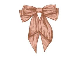 Hand-drawn sketch of a long decorative bow with ribbons vector