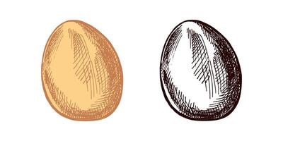 Hand drawn colored and black vintage sketch of an Easter egg with texture vector