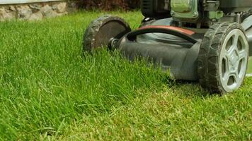 Lawn mower cutting the grass. Gardening activity. Cutting grass with petrol driven lawn mower in sunny garden. Gardener working with mower machine in the garden. Lawn mower cutting green grass 14 video