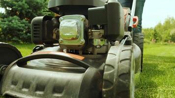 Lawn mower cutting the grass. Gardening activity. Cutting grass with petrol driven lawn mower in sunny garden. Gardener working with mower machine in the garden. Lawn mower cutting green grass 7 video