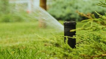 Close-up of watering the garden, grass and flowers in the Park, water drops in the sunlight. Automatic watering system for the grass and flowers. Drops of water are splashed in the sunlight. 4 video