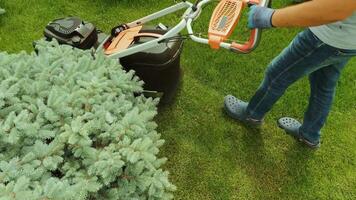 Lawn mower cutting the grass. Gardening activity. Cutting grass with petrol driven lawn mower in sunny garden. Gardener working with mower machine in the garden. Lawn mower cutting green grass 31 video