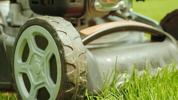 Lawn mower cutting the grass. Gardening activity. Cutting grass with petrol driven lawn mower in sunny garden. Gardener working with mower machine in the garden. Lawn mower cutting green grass 6 video