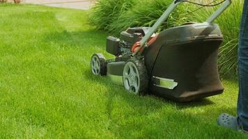 Lawn mower cutting the grass. Gardening activity. Cutting grass with petrol driven lawn mower in sunny garden. Gardener working with mower machine in the garden. Lawn mower cutting green grass 37 video