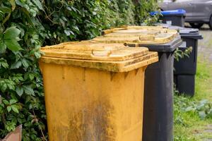Yellow, black and blue garbage bins installed in a row near a fence in a residential area, waste sorting and storage concept, separate disposal of food waste, paper and plastic packaging, photo