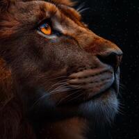 photograph of a lion's face in profile, with a focus on its eye, against a dark background with scattered white dots resembling stars. photo