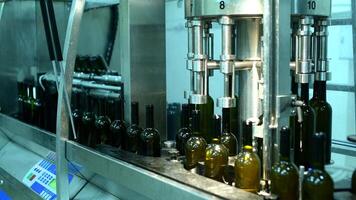 Wine bottle conveyor processes glass bottles in modern factory during production hours with efficiency and precision video