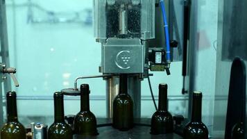 Wine bottle conveyor system in action at a factory during production hours video
