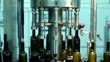 Wine bottle conveyor system in action at a glass factory during bottling process video