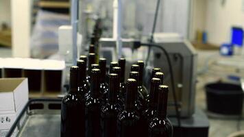 Wine bottle conveyor system in operation showcasing the bottling process at a factory video