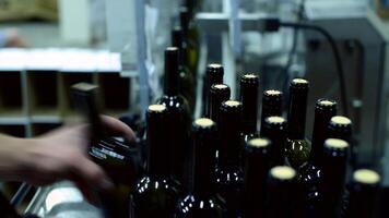 Wine bottle conveyor system operates efficiently in a busy factory setting with red and white bottles video