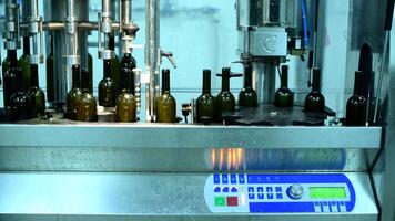 Wine bottle conveyor system in action at a busy production facility showcasing efficient bottling techniques video
