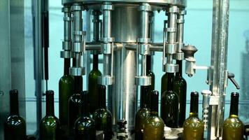 Efficient wine bottle processing on conveyor system in factory during production hours video