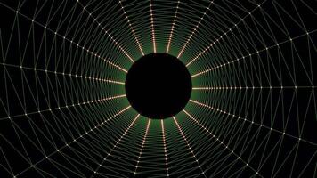 a black and green web with a circular shape video
