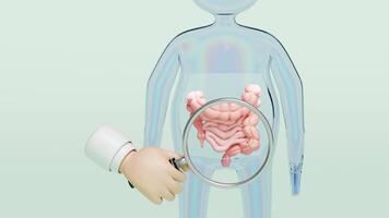 3d human colon with doctor hand holding magnifying glas isolated on green background. check digestive, intestine health concept, 3d illustration render video
