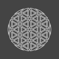 Flower of life emblem. Basic sacred geometry shapes. Thin line icon vector