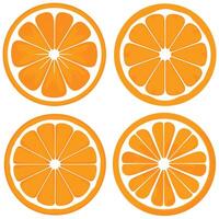 Bright and detailed illustration of orange slices in flat style perfect for food juice ads and design use vector
