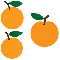 Simple and clean flat style illustration of whole oranges with green leaves ideal for food and art themes vector