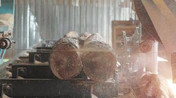 Closeup of cut pine tree log on sawing machine at wood production factory. Timber material processing and cutting at sawmill. Manufacturing process at lumber mill. Sawing woods on power machine 17 video