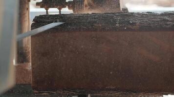 Closeup of cut pine tree log on sawing machine at wood production factory. Timber material processing and cutting at sawmill. Manufacturing process at lumber mill. Sawing woods on power machine 13 video