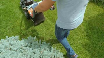 Lawn mower cutting the grass. Gardening activity. Cutting grass with petrol driven lawn mower in sunny garden. Gardener working with mower machine in the garden. Lawn mower cutting green grass 30 video